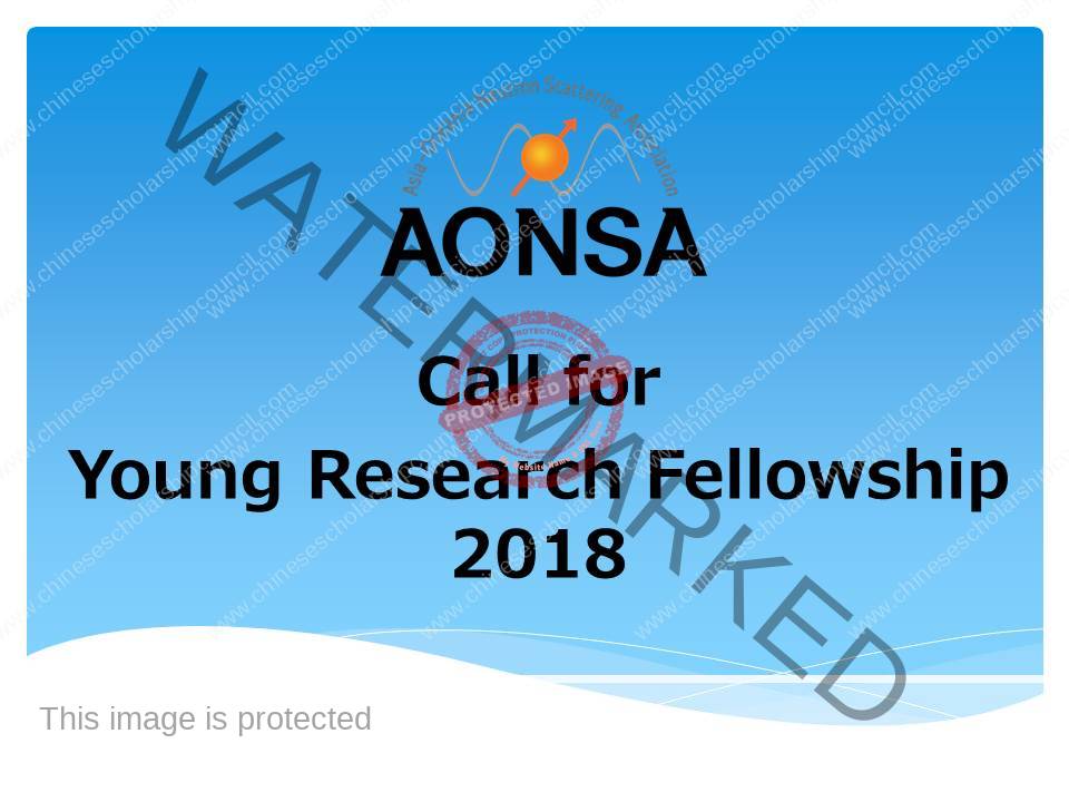 AONSA Young Research Fellowship, 2019 Stipendienpositionen 2018 2019