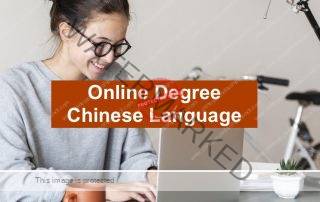 online Chinese degree